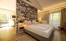 Little Suite Apartments